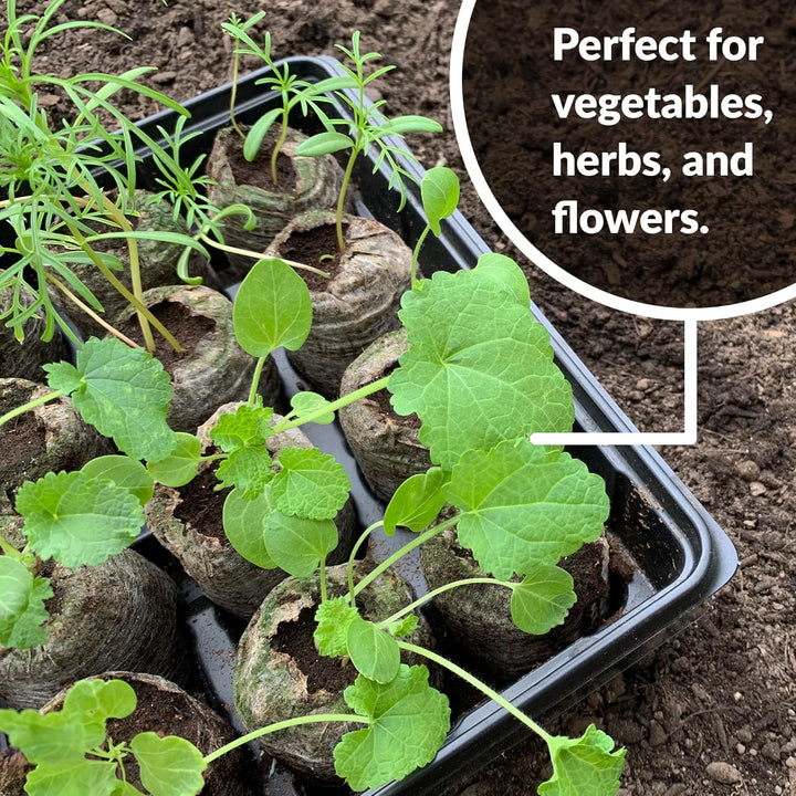 BowLift | Coconut Fiber Peat Seedling Pellets – Starter for Seed Planting