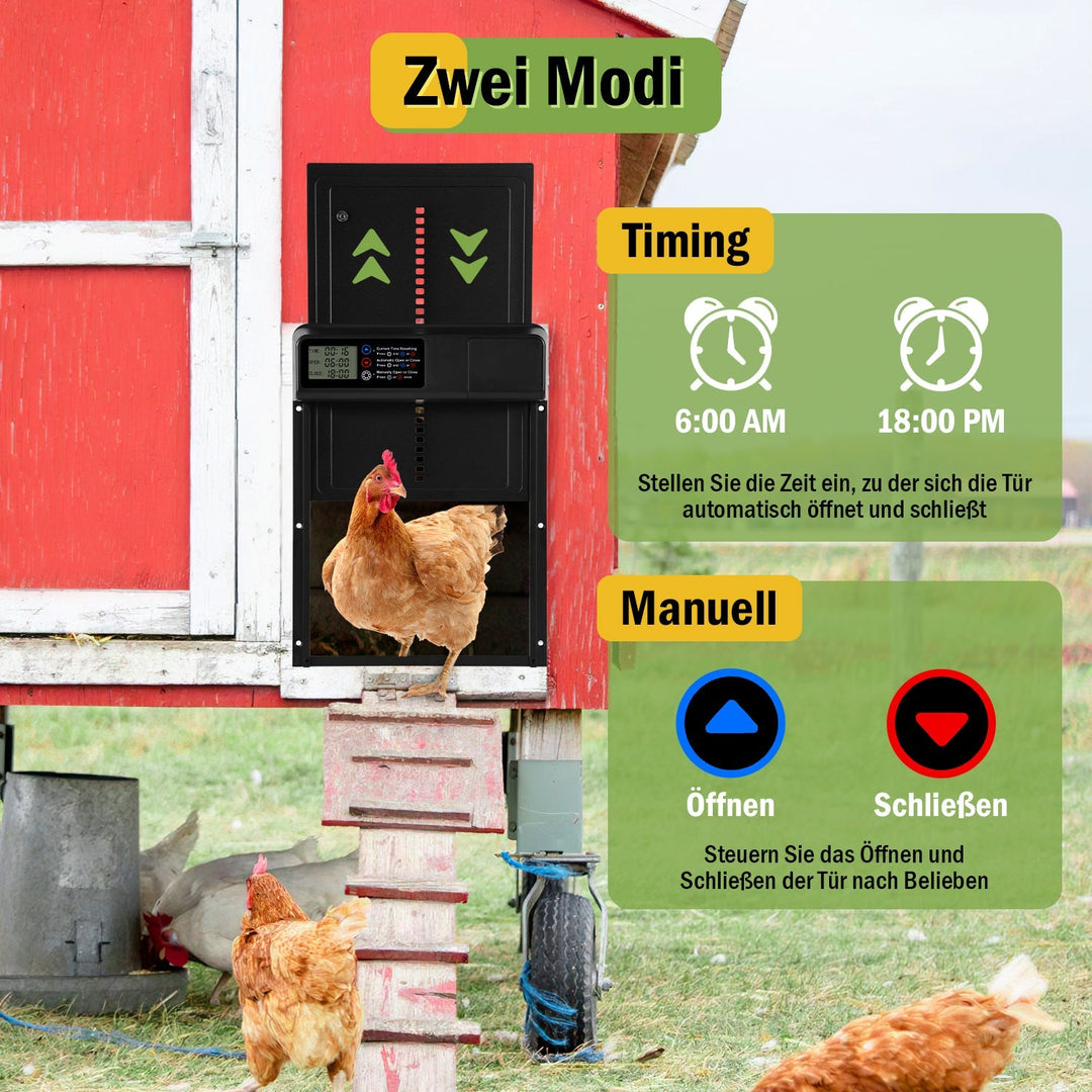 Chicken flap automatic timer | Bowlift