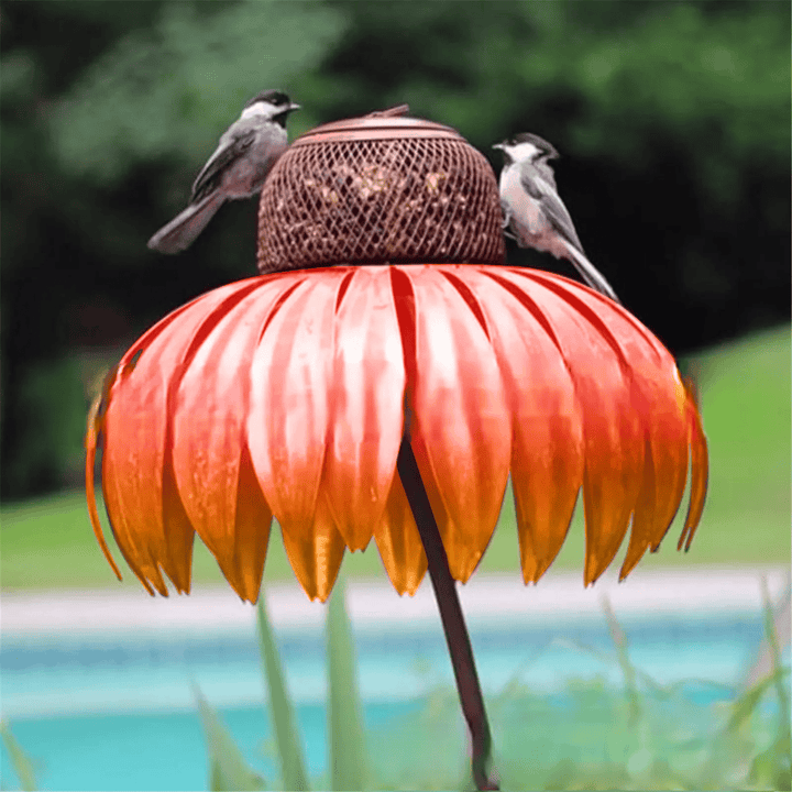 BowLift | FloraNest Bird Feeder | Enjoy free Coneflowers for a colorful garden