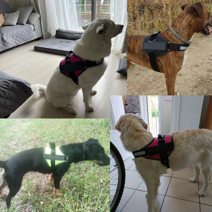 BowLift | Anti Choke Dog Harness