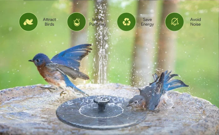 SolarSprudelX — Turn your garden into a stunning natural oasis full of life and magic! | Bowlift
