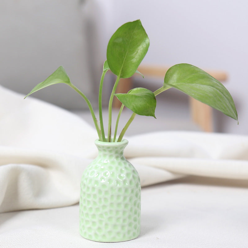 Textured Ceramic Plant Holder Bowlift