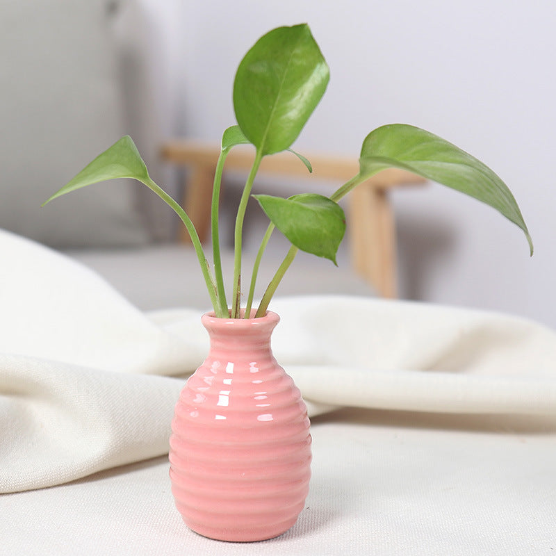 Modern Textured Ceramic Bud Vase Bowlift