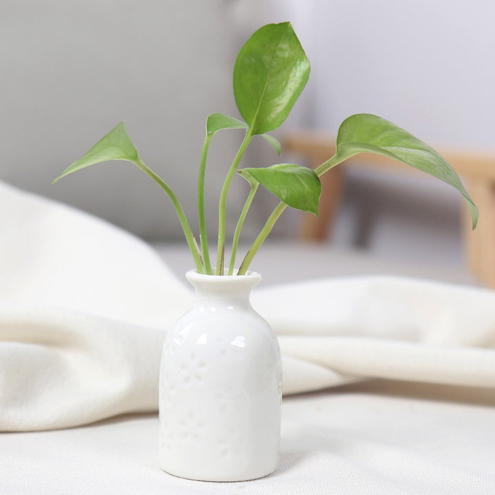 Charming Ceramic Bud Vase Bowlift