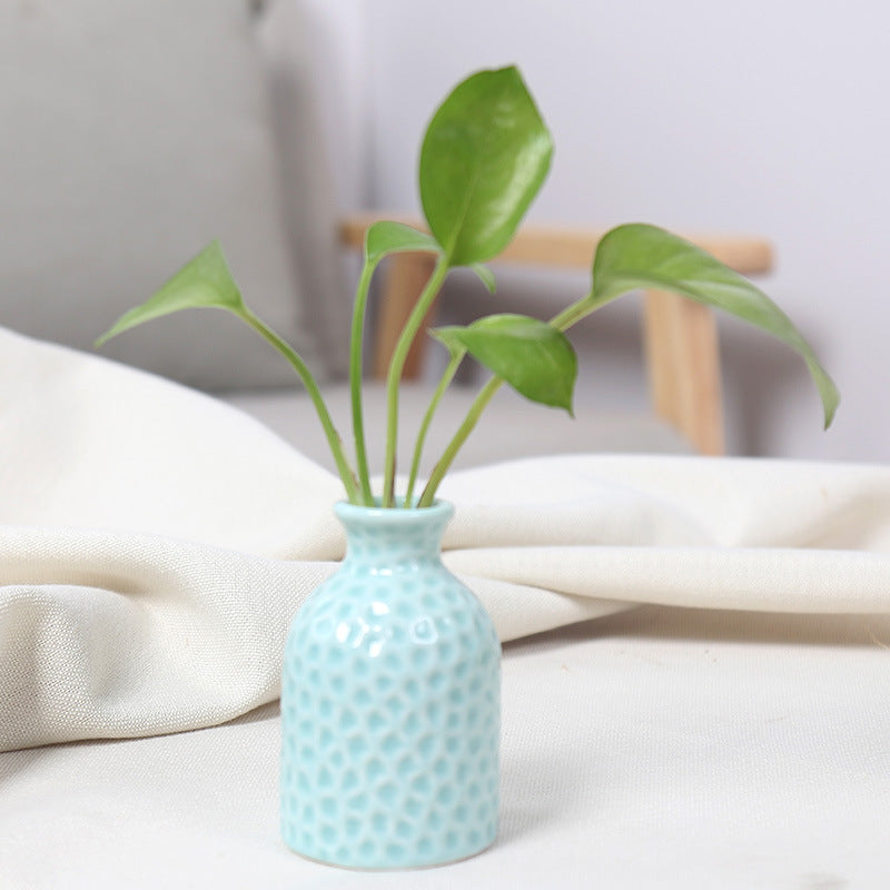 Textured Ceramic Plant Holder Bowlift