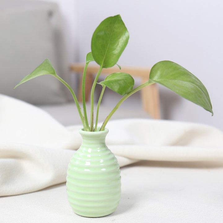 Modern Textured Ceramic Bud Vase Bowlift