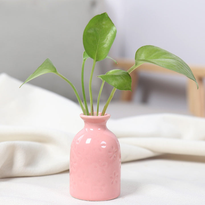 Charming Ceramic Bud Vase Bowlift