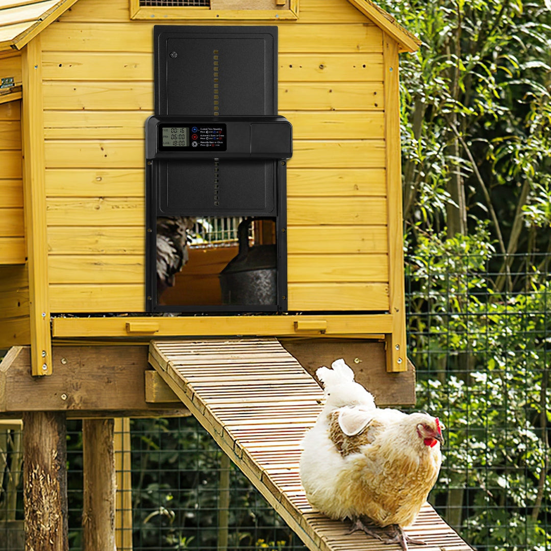 Chicken flap automatic timer | Bowlift