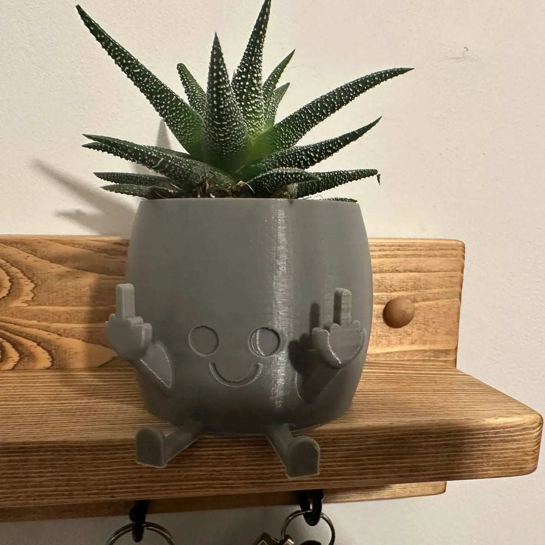 BowLift | Smiling Plant Pot with Middle Fingers Up