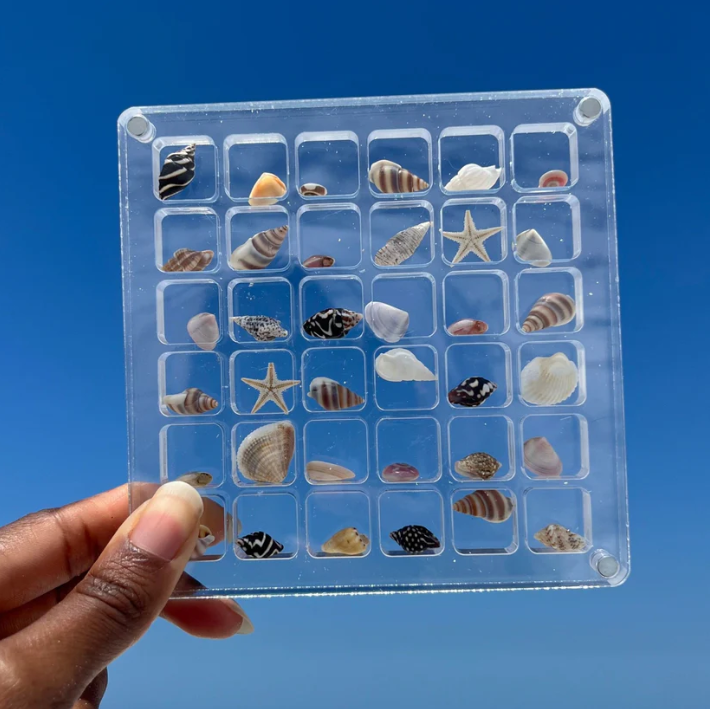 Acrylic Treasure Keeper | Stylishly Store Your Sea Collection | Bowlift