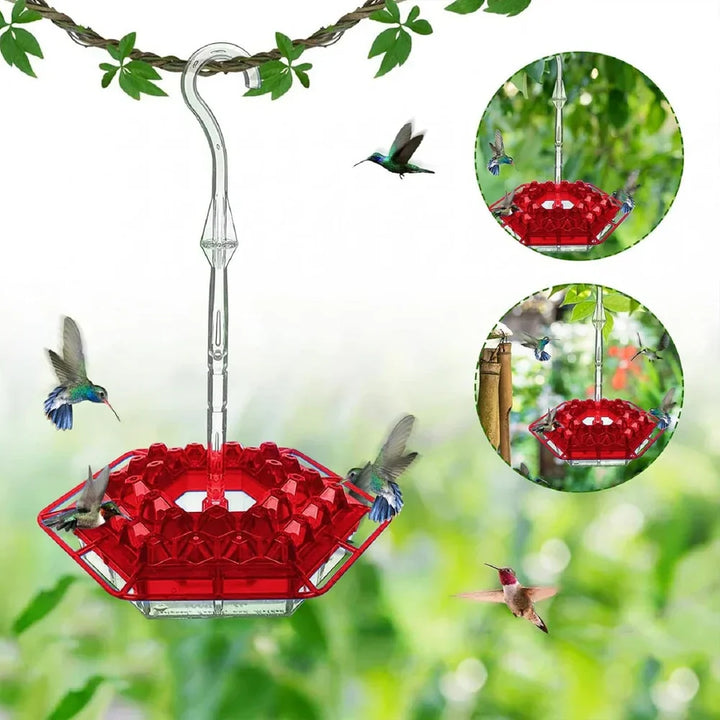 BowLift | BirdBliss™ Bird-Friendly Paradise