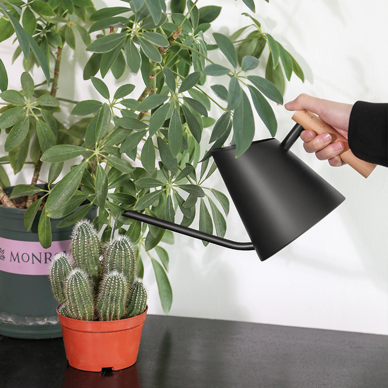 BowLift | Modern watering can with wooden handle – Stylish watering can for plants in the garden