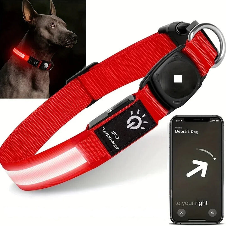 BowLift | Flashing Dog Collars – Waterproof LED Light Up Dog Collar with USB Rechargeable Glow, Dog Collars Illuminated for Night Safety, All Sizes