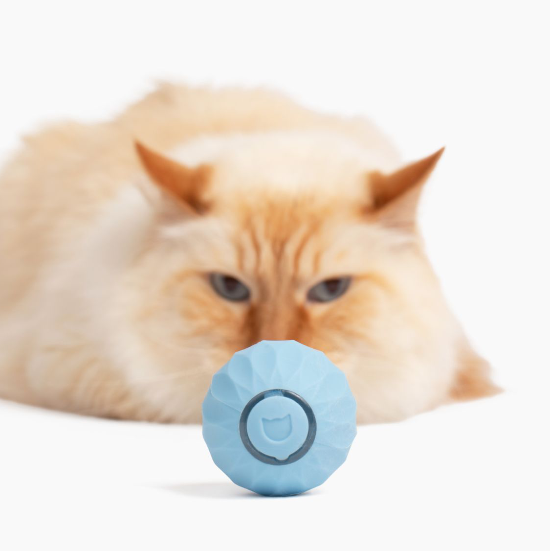BowLift | Cat Toy | Interactive Self-Rolling Ball