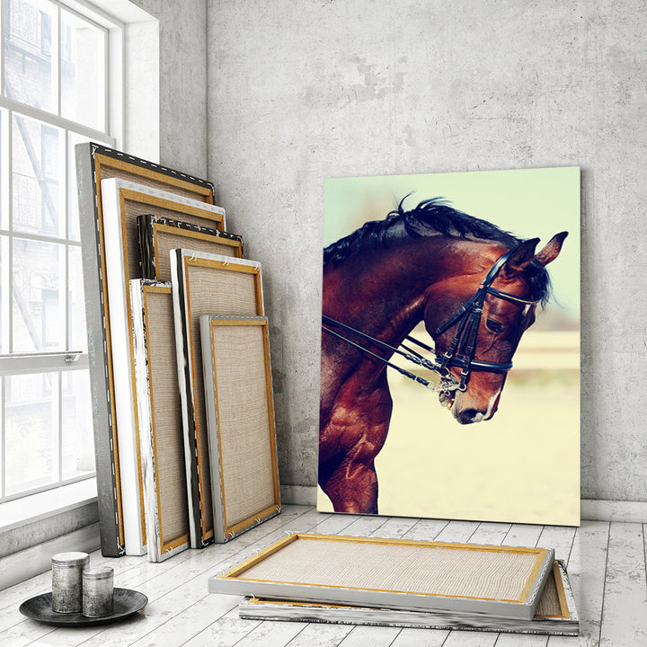 Graceful Haltered Horse - Canvas Wall Art Painting | Bowlift