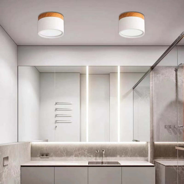Morandi Style Modern LED Ceiling Lamp - LumiModo | Bowlift