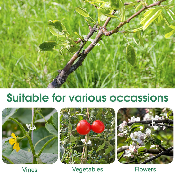 BowLift | Tomato Clips, Plastic Trellis Clips