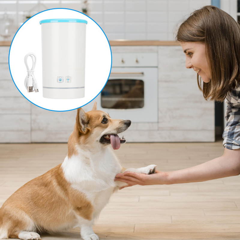 BowLift | PawShine – Clean and soothe your pet's paws instantly and effortlessly
