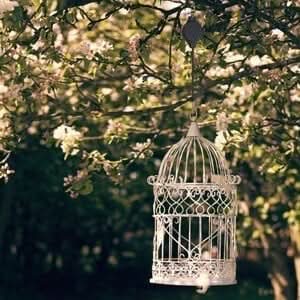 BowLift | Height-adjustable & stable for plants & birdhouses