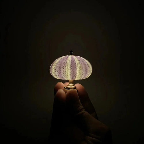 DIY Sea Urchin Night Light - LumiUrchin | Bowlift