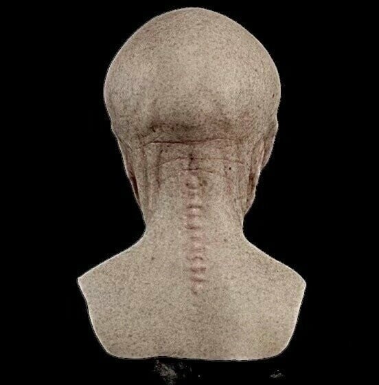 Alien-Mask | Realistic Halloween Costume Accessories | Bowlift