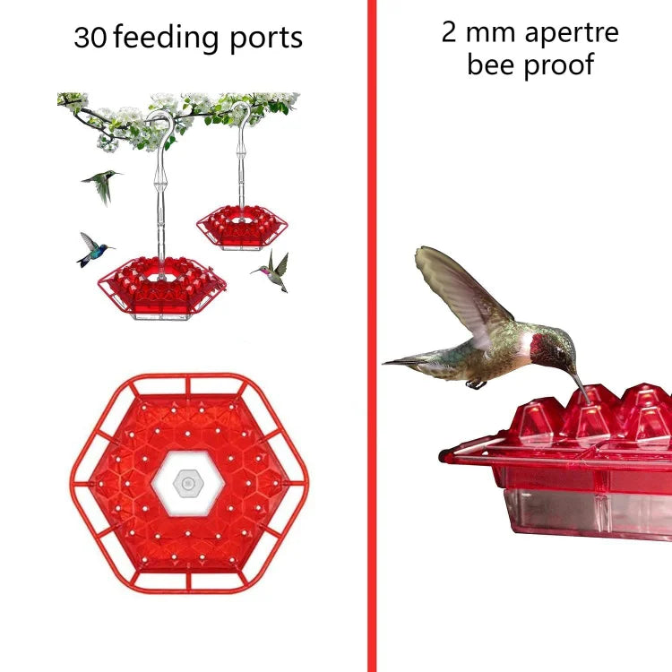 BowLift | KolibriKracher — Create a vibrant bird paradise right in your garden!