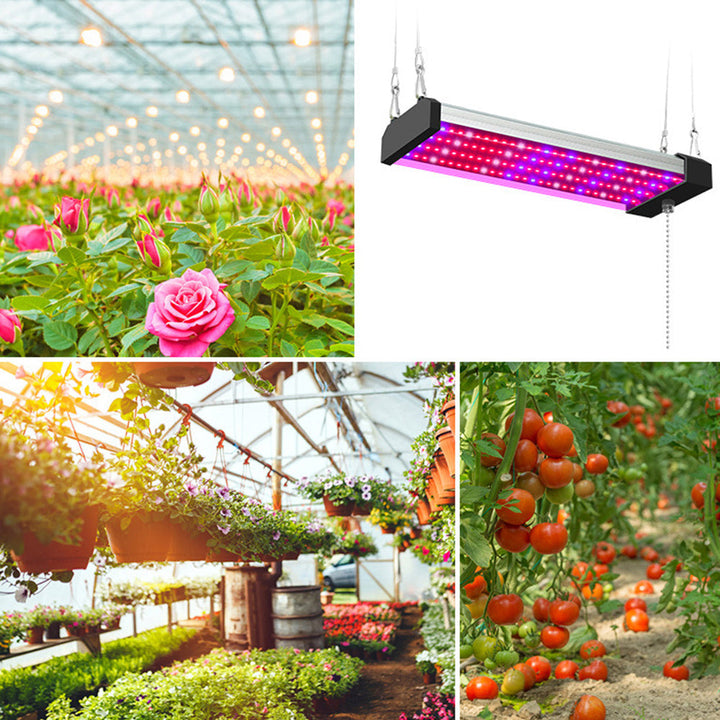 BowLift | LED plant lamp with full spectrum lighting and pull switch for optimal plant growth
