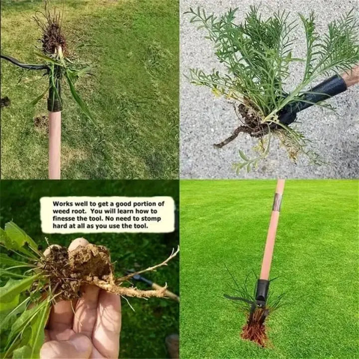 BowLift | Removable Weed Removal Tool