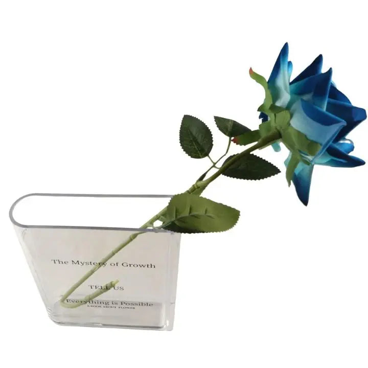 BowLift | Acrylic Book Vase – Modern Design with Invisible Book Look