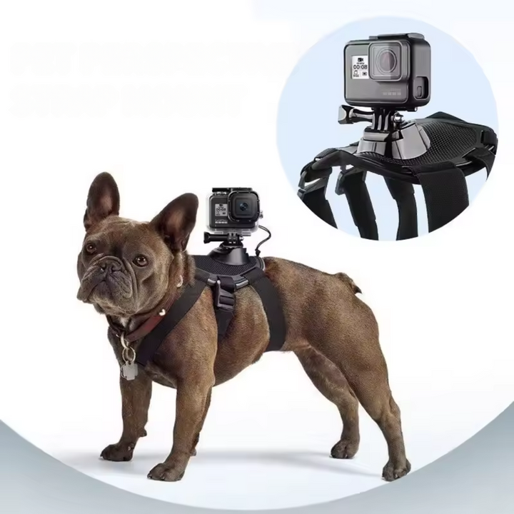 Action-Cam Dog Harness with 360° Perspective Bowlift