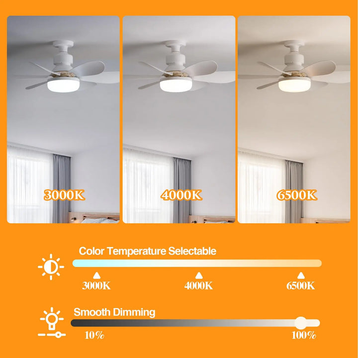 BowLift | Socket Ceiling Fan with Light