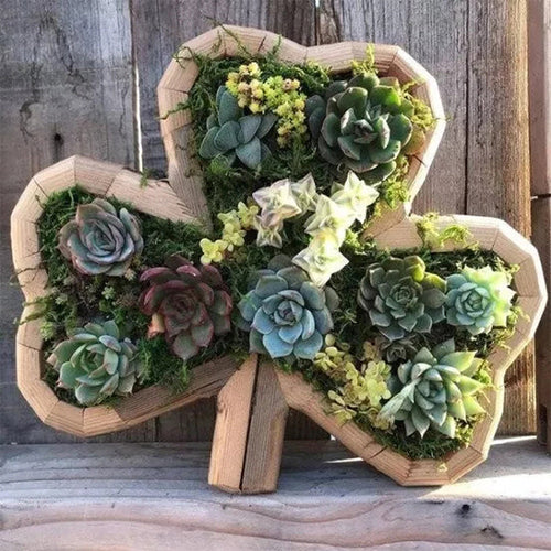 Animal Succulent Garden Arrangement | Bowlift
