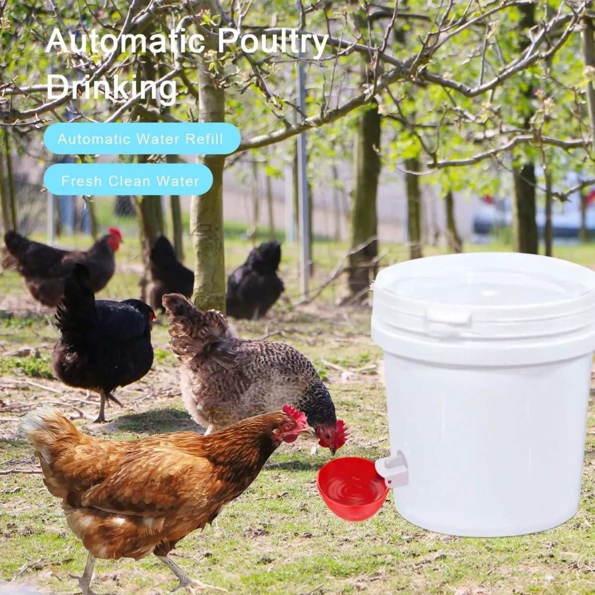 BowLift | Automatic Chicken Waterer for Healthy Flocks