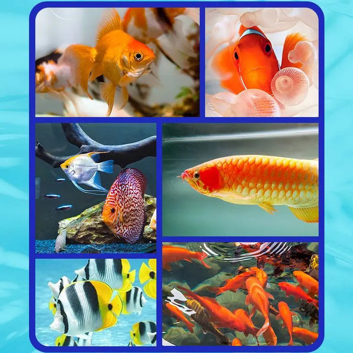 BowLift | Aquarium Water Cleaner Solution