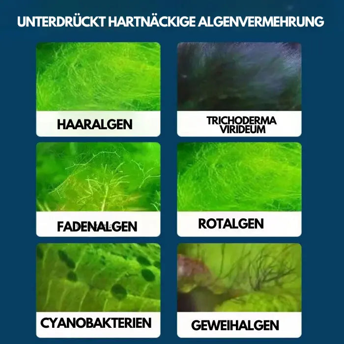 BowLift | Aquarium Water Cleaner Solution