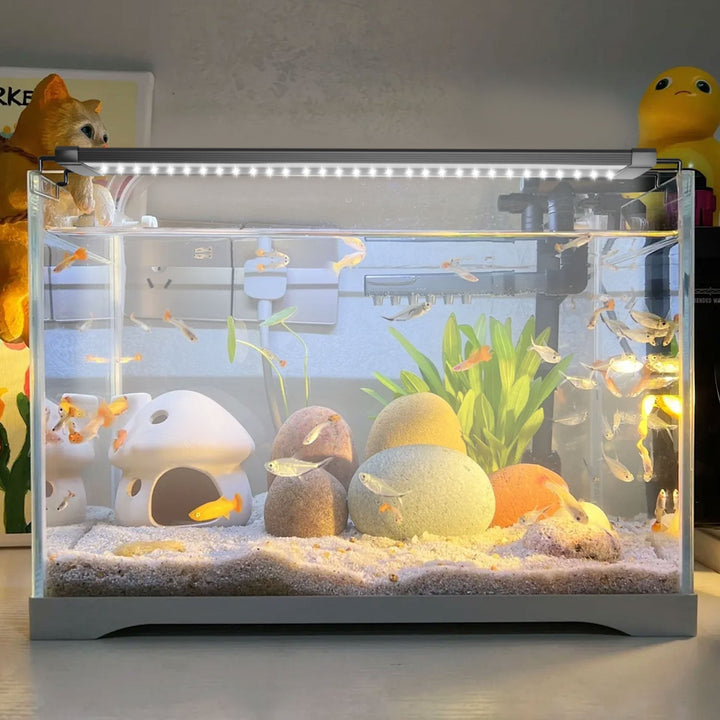 LED Aquarium Lighting 24/7 Mode with Timer | Bowlift