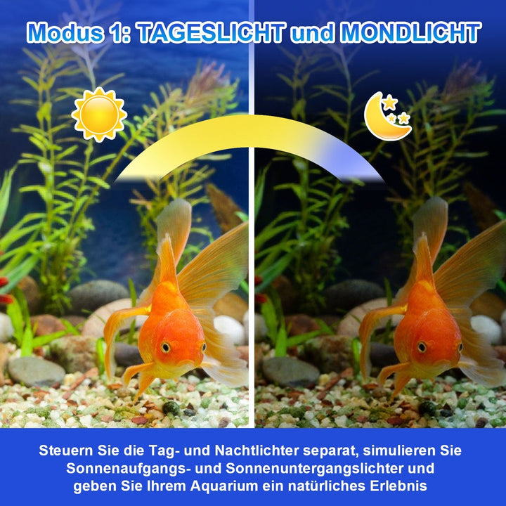 LED Aquarium Lighting 24/7 Mode with Timer | Bowlift