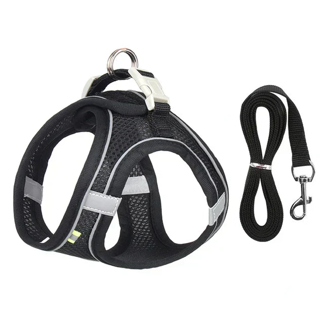 Adventurous Cat Harness with Leash – Adjustable and Reflective | Bowlift