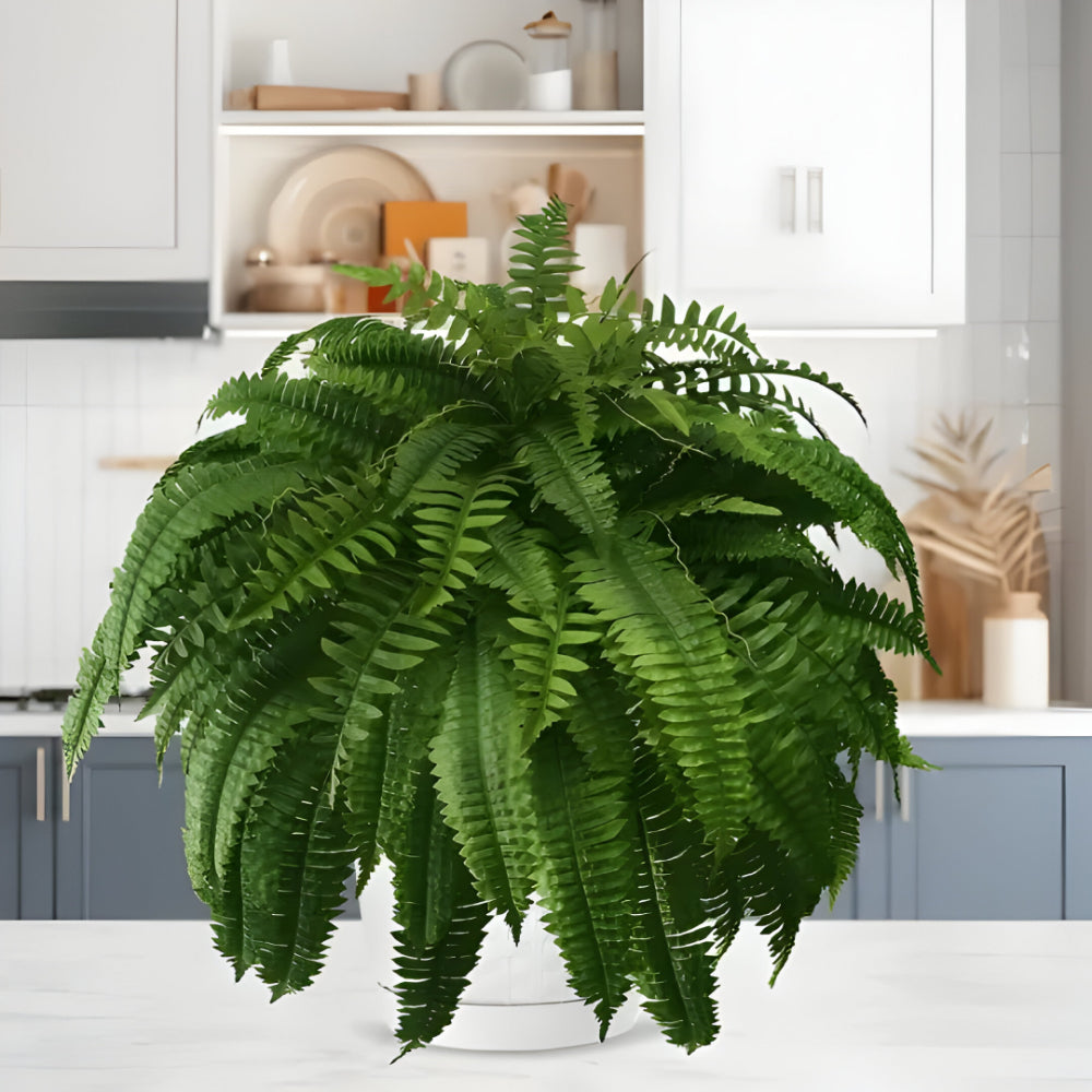 BowLift | Artificial Boston Fern Home Decor Plant