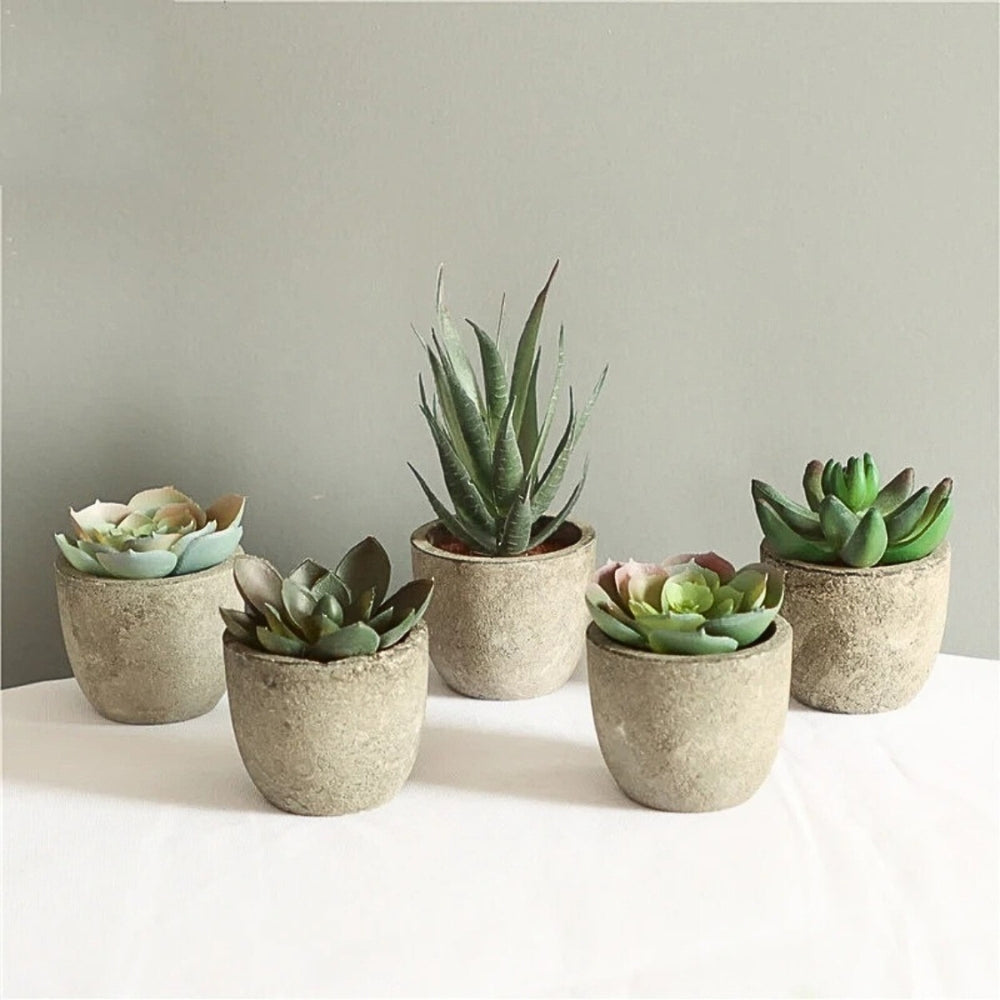 BowLift | Verdea Artificial Succulent Plant Decor