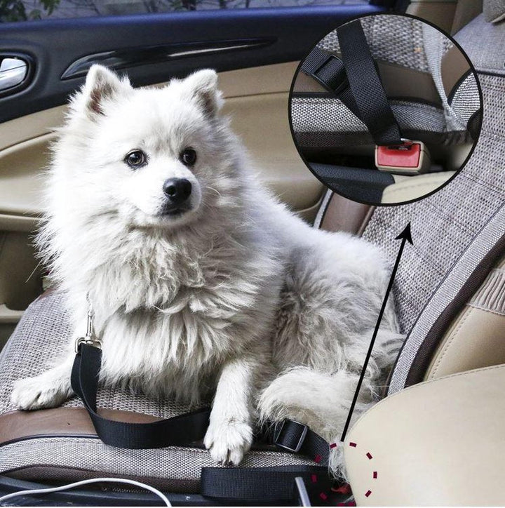 Safety seatbelt for Pets Bowlift