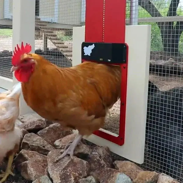 BowLift | Automatic Chicken Coop Door - Weatherproof & Predator Safe with Easy Installation