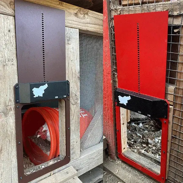 BowLift | Automatic Chicken Coop Door - Weatherproof & Predator Safe with Easy Installation