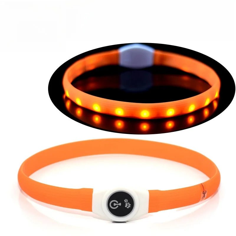 BowLift | LED Light Collar for Dogs for Safe Walks at Night