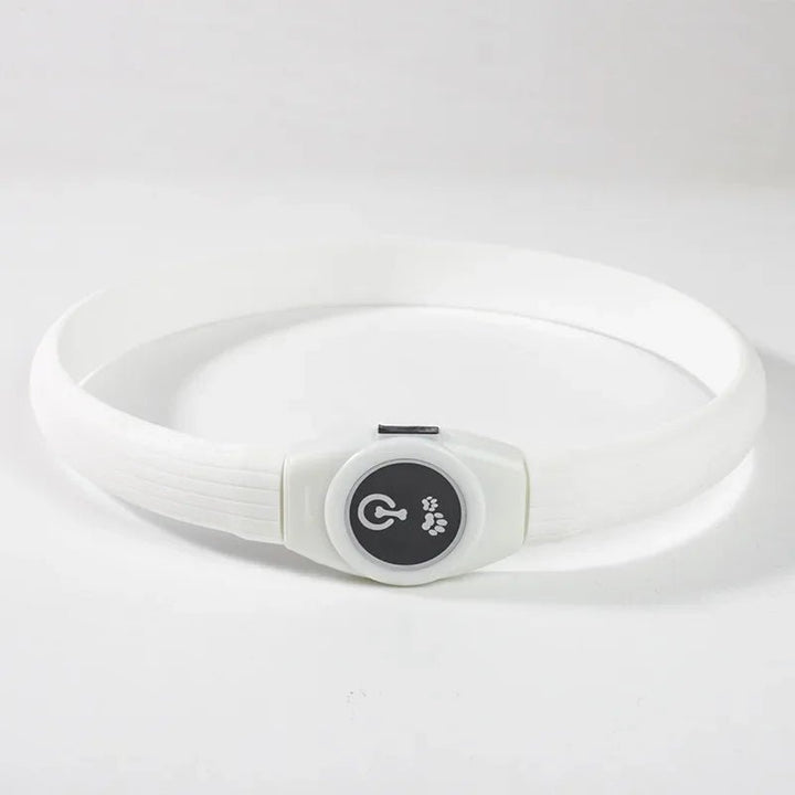 BowLift | LED Light Collar for Dogs for Safe Walks at Night