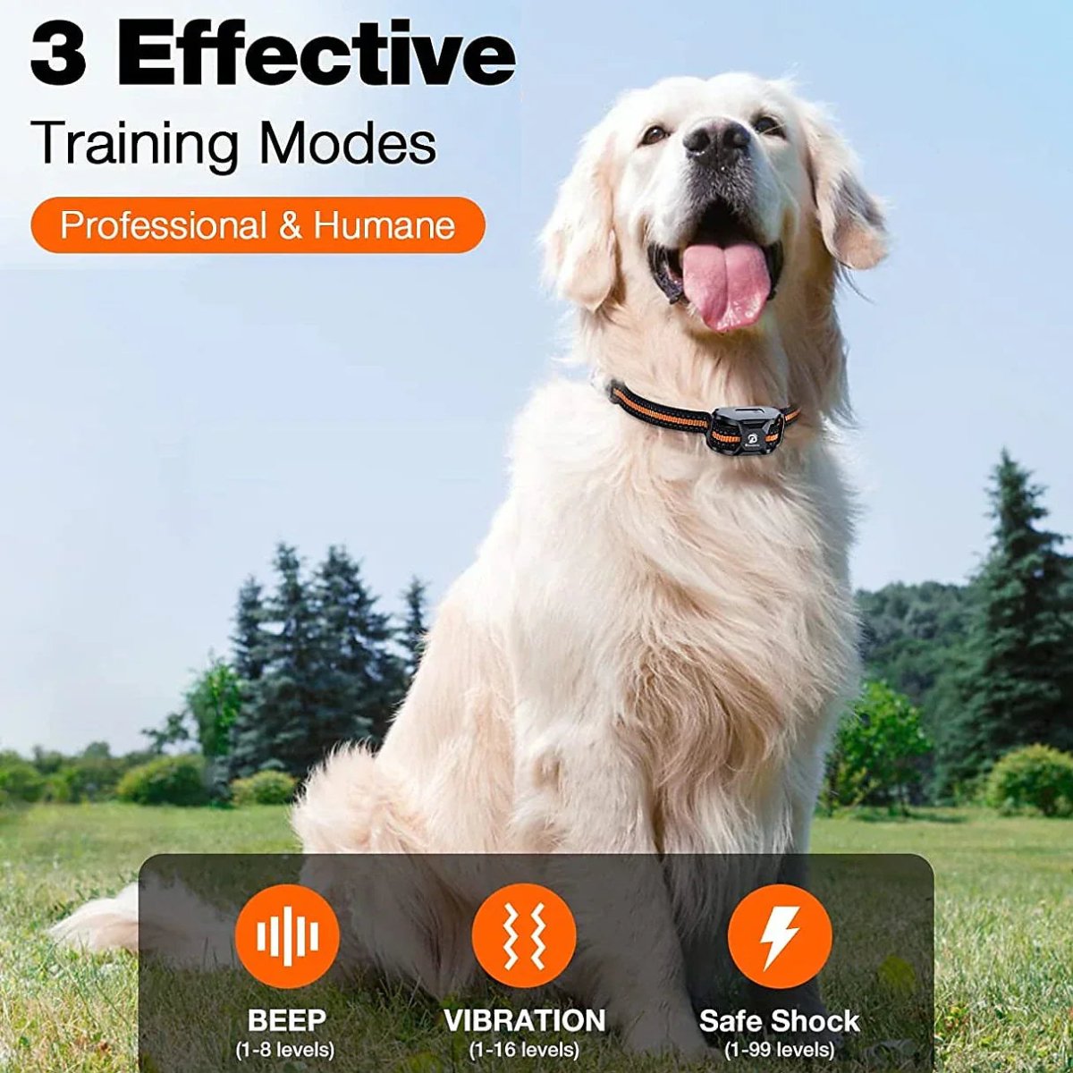 BowLift | Professional 1000 m Remote Training Collar for Dogs