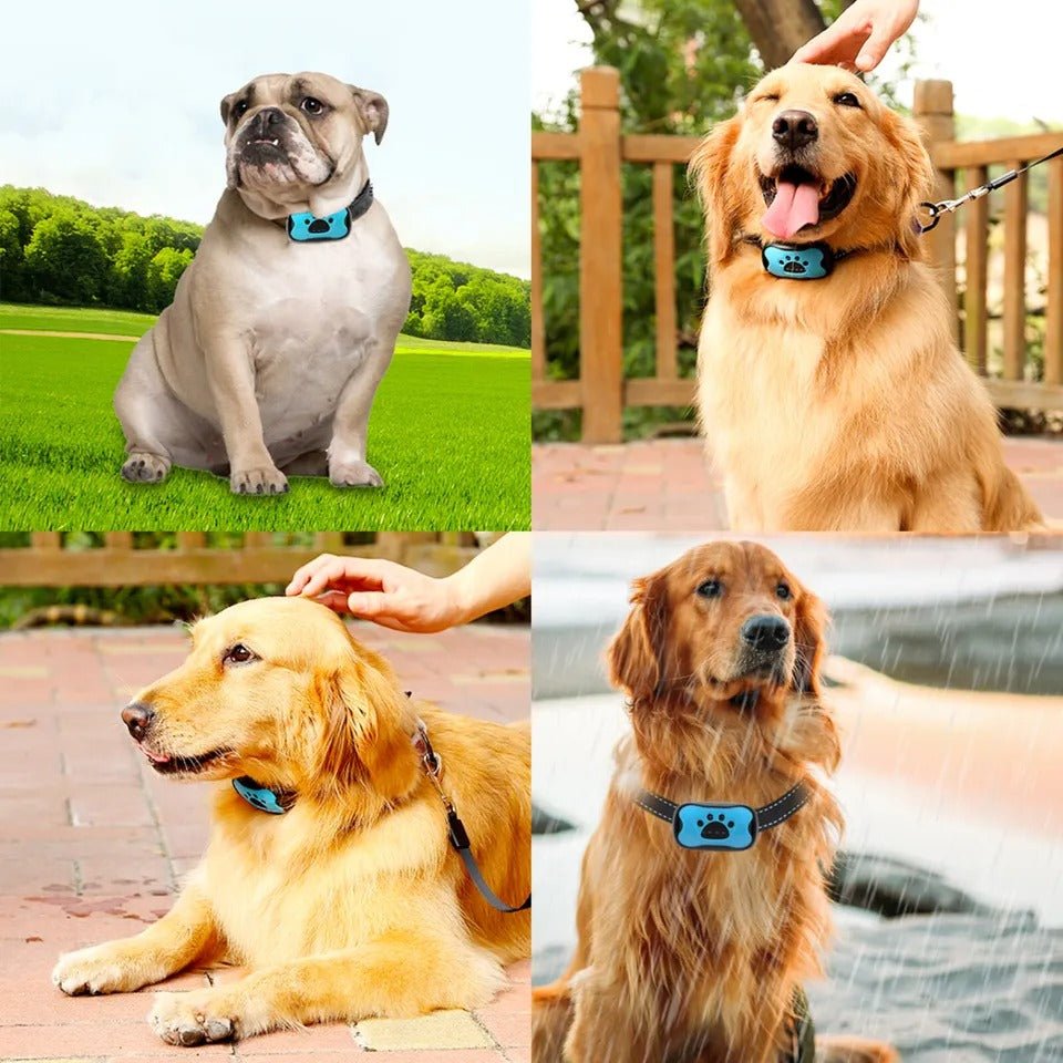 BowLift | Intelligent Anti-Bark Dog Collar with Sonic Wave Technology and Adjustable Fit