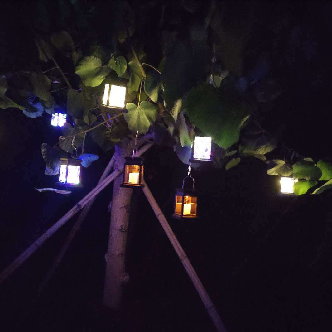 Contemporary Industrial Square Star LED Solar Waterproof Landscape Lawn Light For Garden | Bowlift