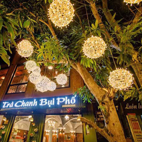 Modern Art Deco Waterproof PVC Hanging Ball Decoration LED Outdoor Pendant Light Outdoor Light For Garden | Bowlift
