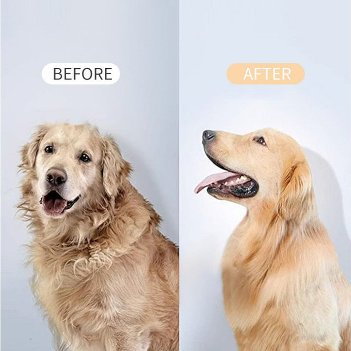 BowLift | Pet De-Shedding Spray And Blow-Dry Brush